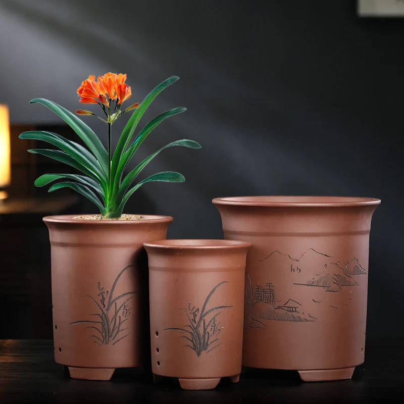 宜兴紫砂花盆君子兰花盆兰花盆墨兰建立春兰花盆龟背竹三角梅花盆