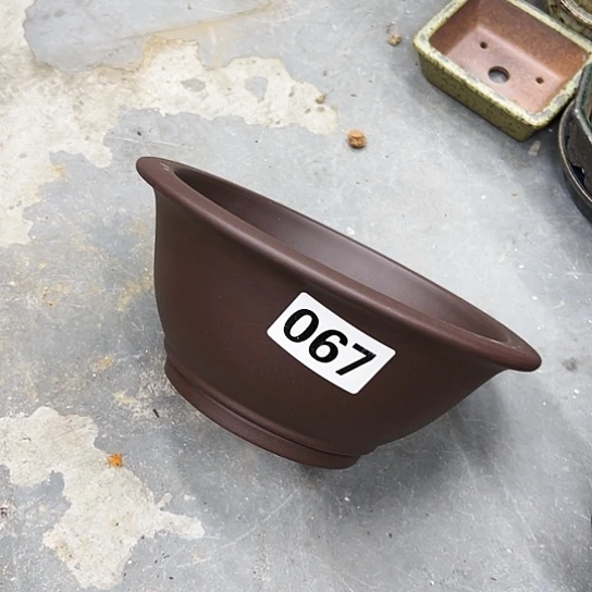 紫砂花盆中放的花都香