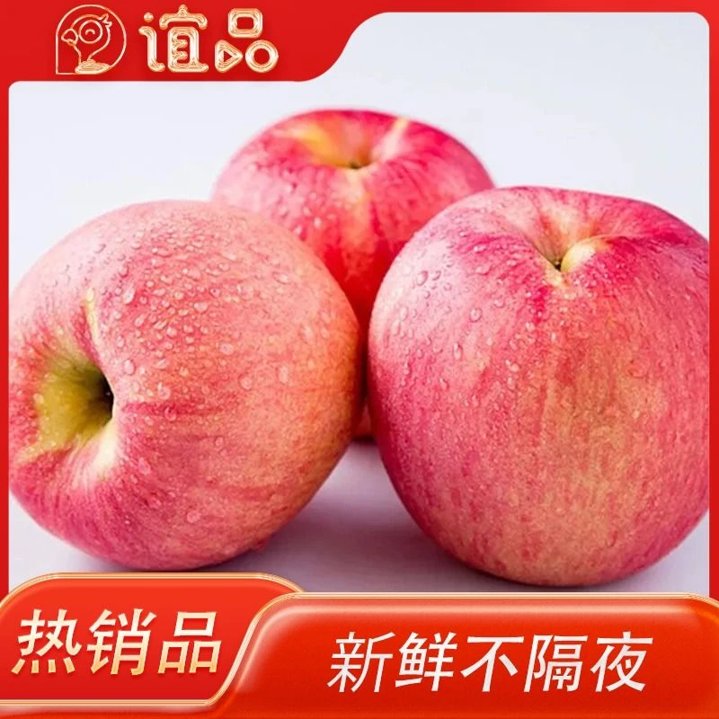红富士75苹果 1个 约300g（饭后小水果）【特惠】