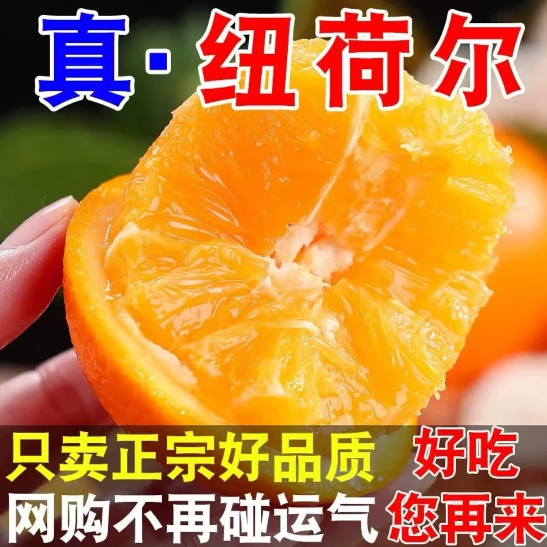 2025年秋季正宗湖北原产地新鲜采摘纽荷尔脐橙甘甜爆汁一箱批发