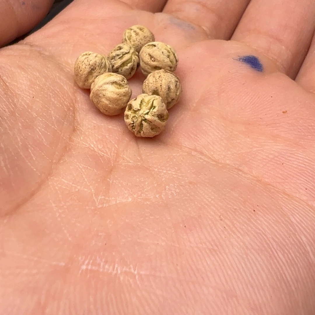 核***坊柏香籽/百香籽吊坠