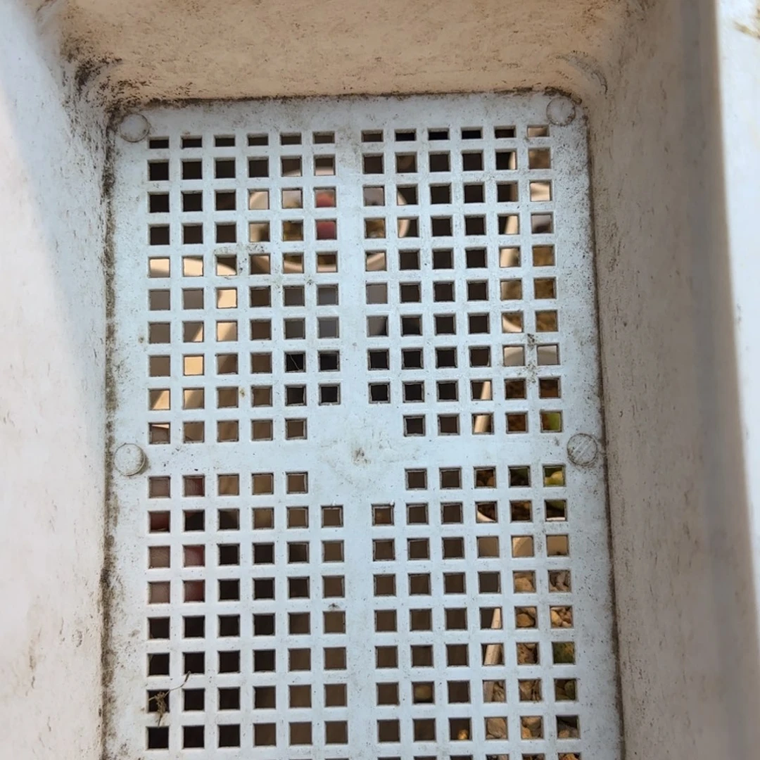 白框里两元一个。