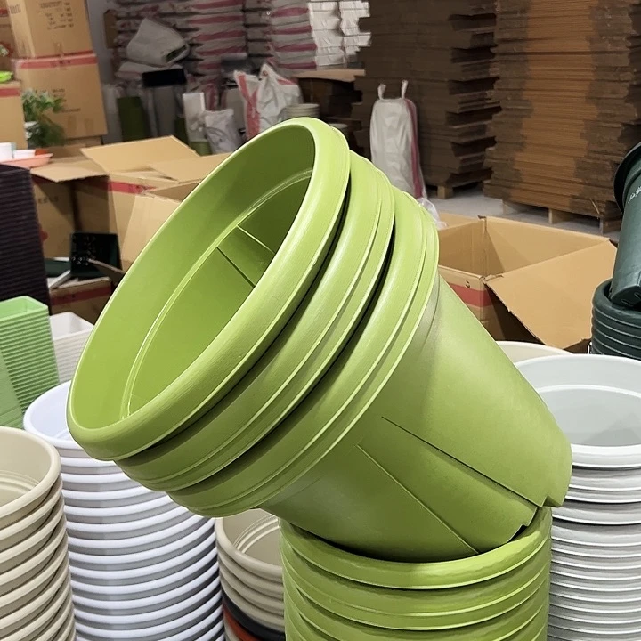 青山盆口40高35无托果绿色5只