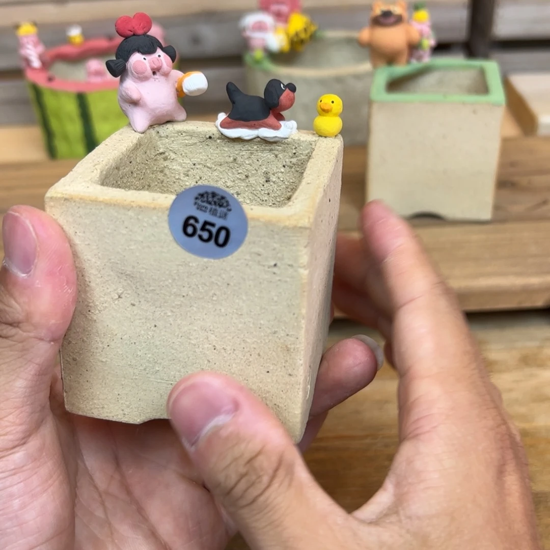 650新款猪猪盆来咯