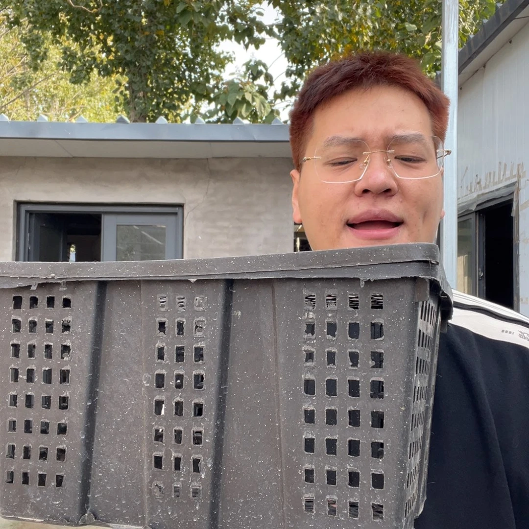 英系安哥拉宠物兔