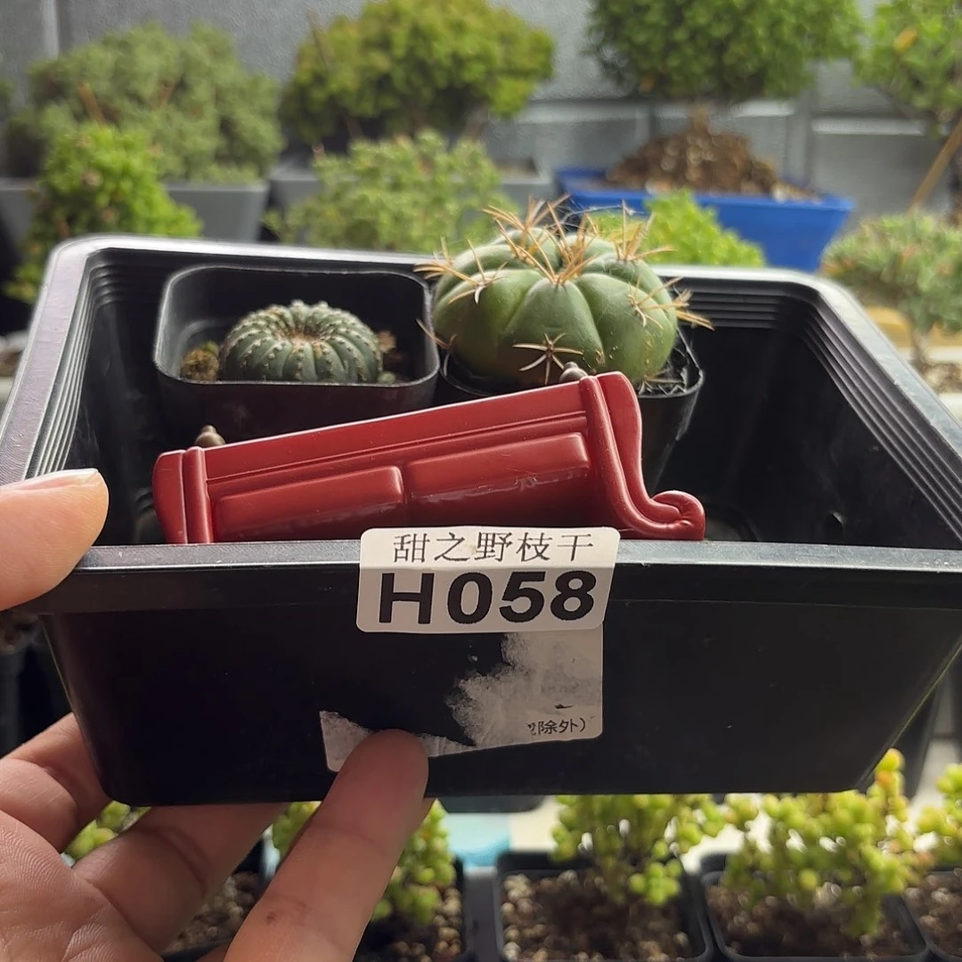 锦****?组合套餐。 058。