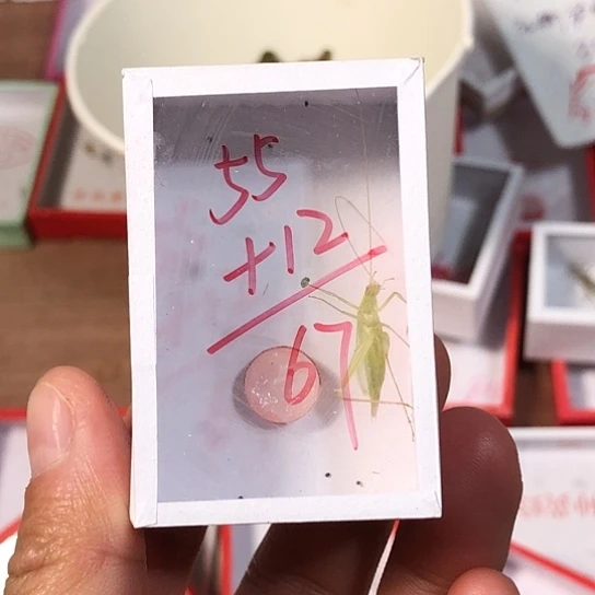 漆***堂蟋蟀33333333333333333333
