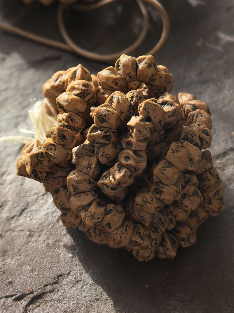 异龙百香籽大肠藏式横打