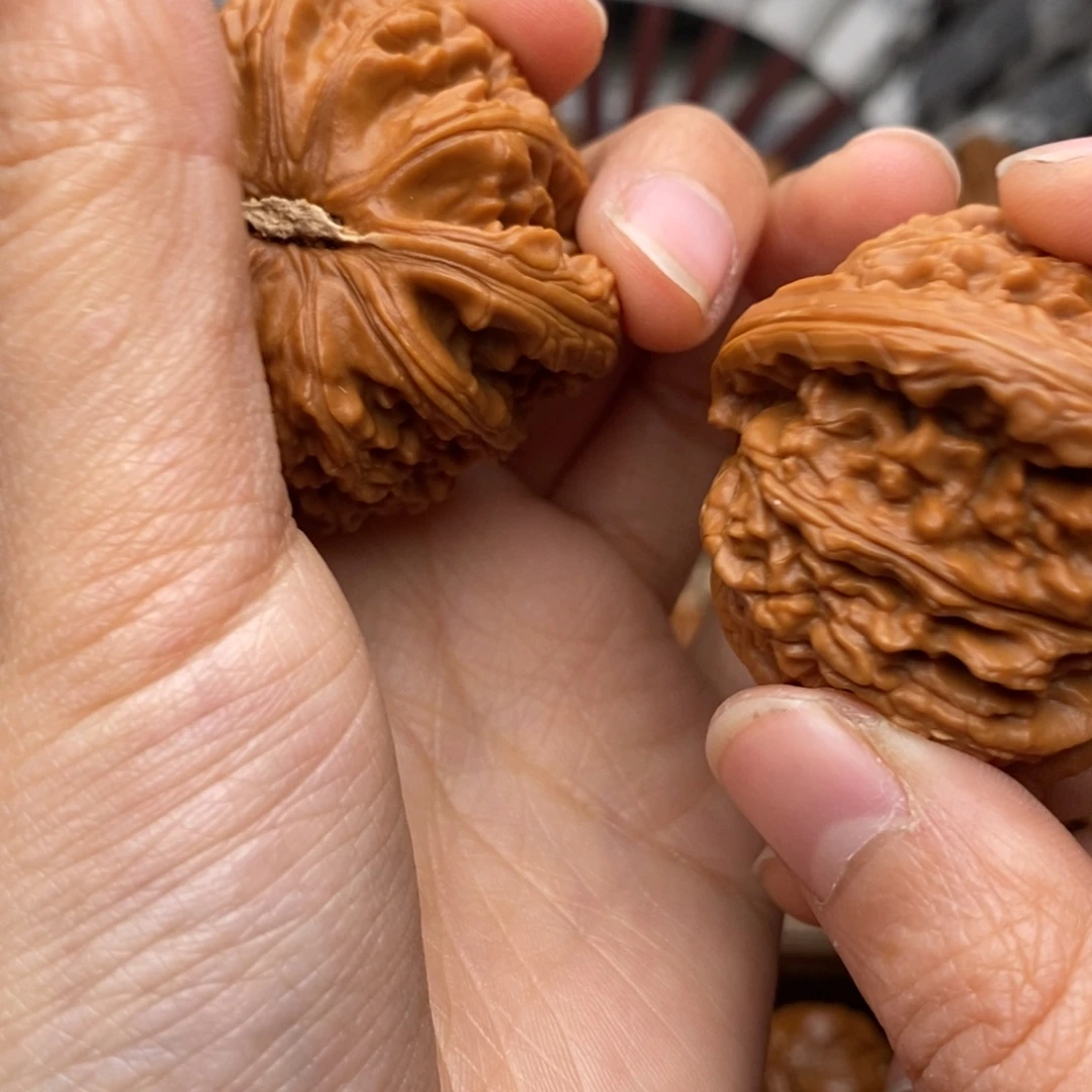 文玩核桃把件42白狮子打底