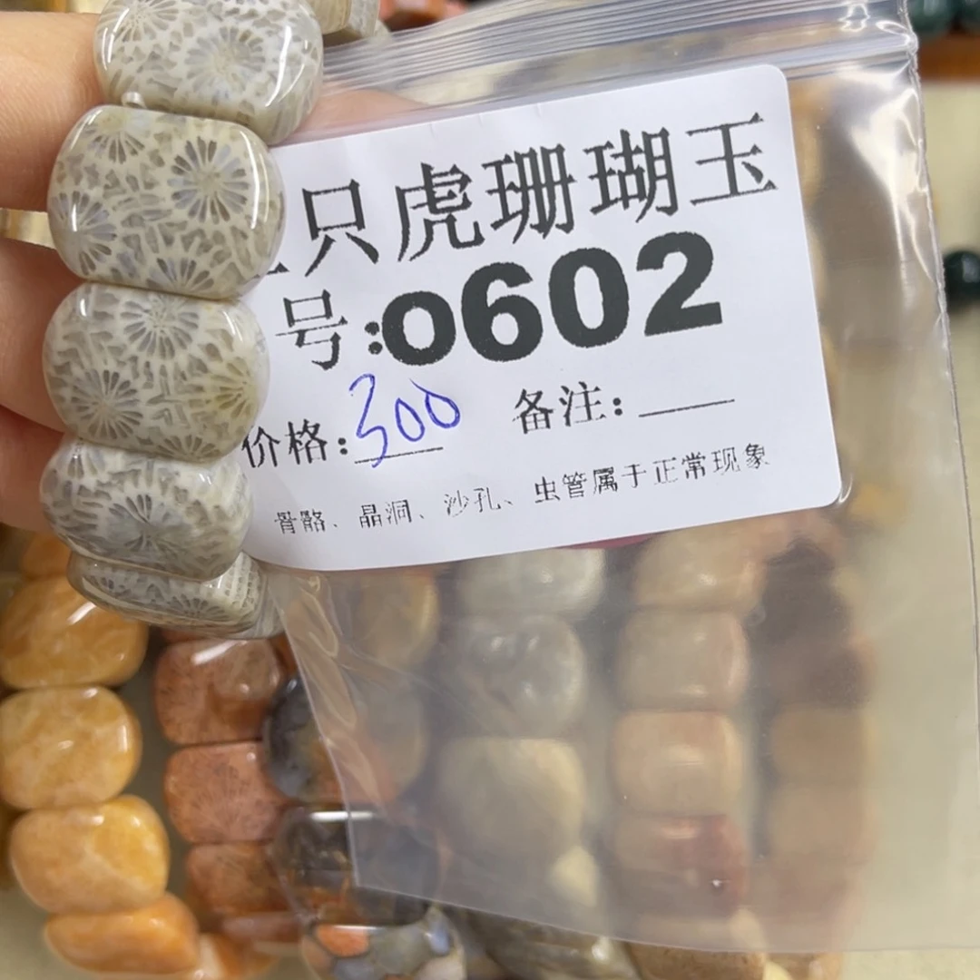 —***—硅化珊瑚（珊瑚玉）h未镶嵌