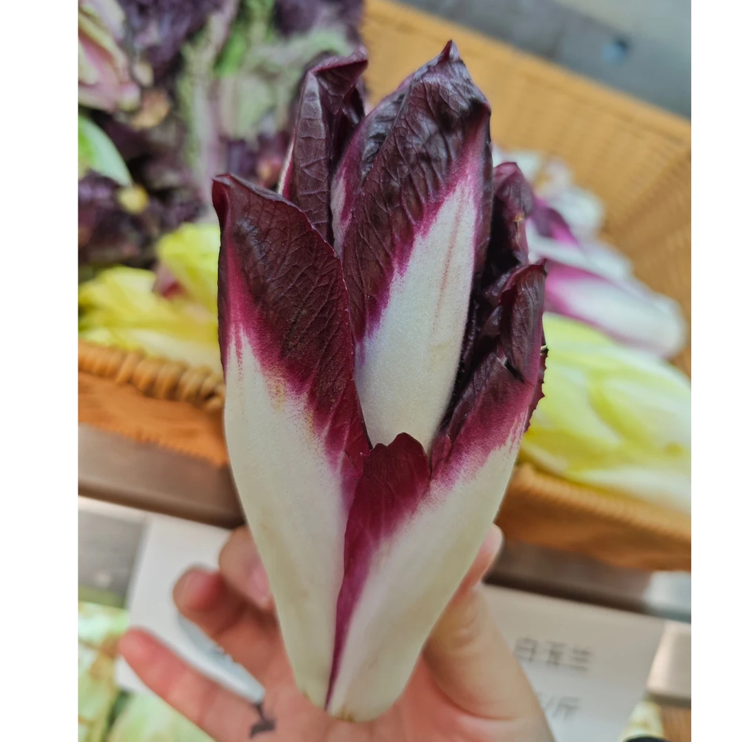 【信阳胖余】紫玉兰