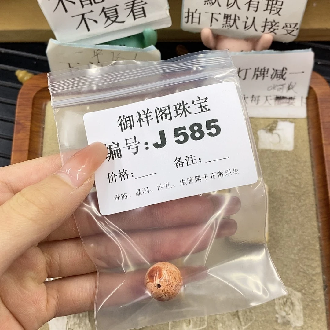 硅化珊瑚（珊瑚玉）未镶嵌颈饰清*