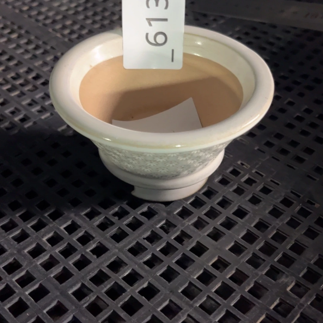 红陶613 花盆1个