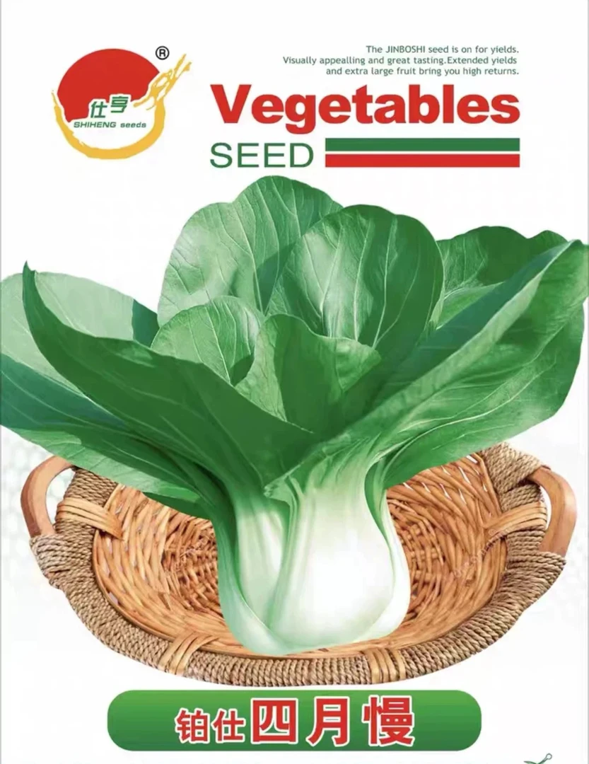 原装高品质四季上海青耐热耐湿矮脚小青菜种籽抗病毒性鸡毛菜种子