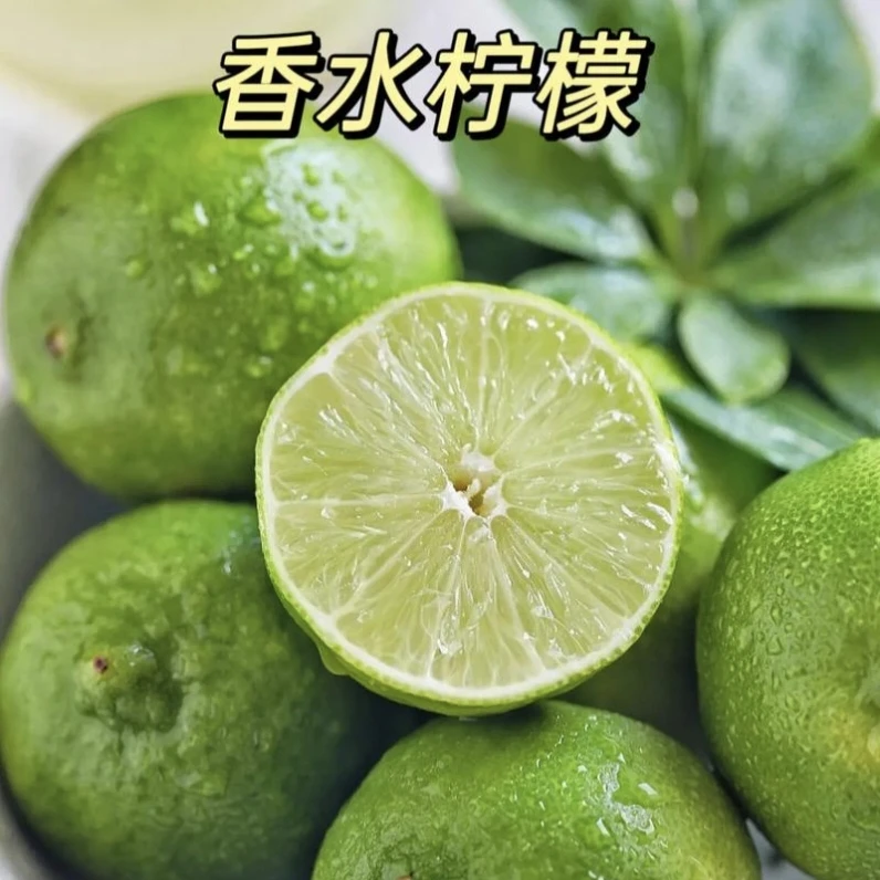 广东新鲜采摘塔希提无籽香水新鲜无籽甜柠檬青柠檬果香浓郁皮薄