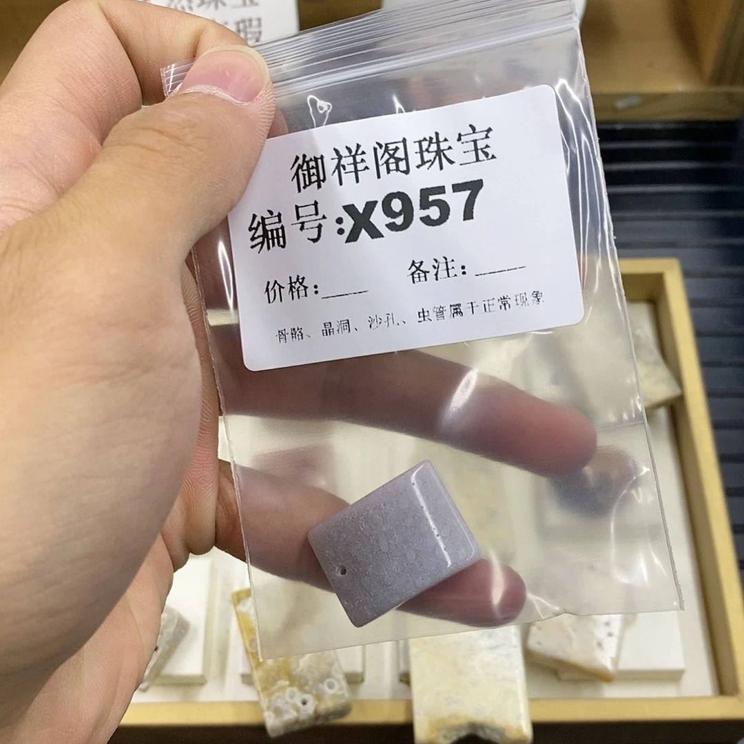 硅化珊瑚（珊瑚玉）未镶嵌颈饰C****a