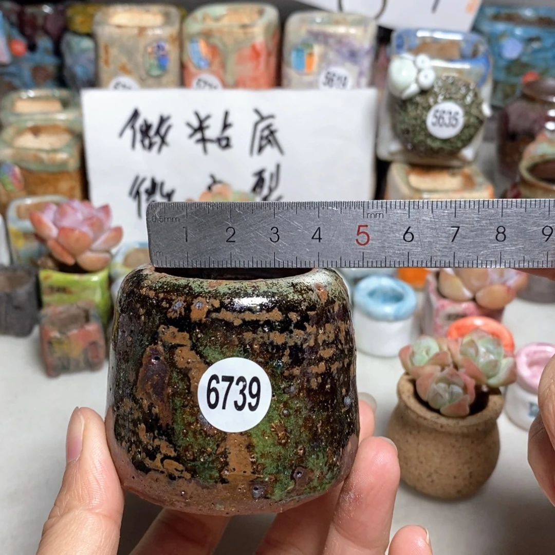 拍5送一个小礼物