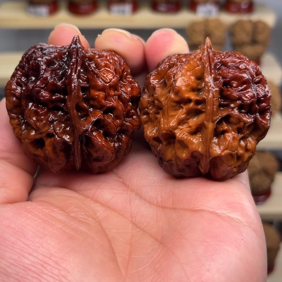 核桃闪2七彩皇冠43尺