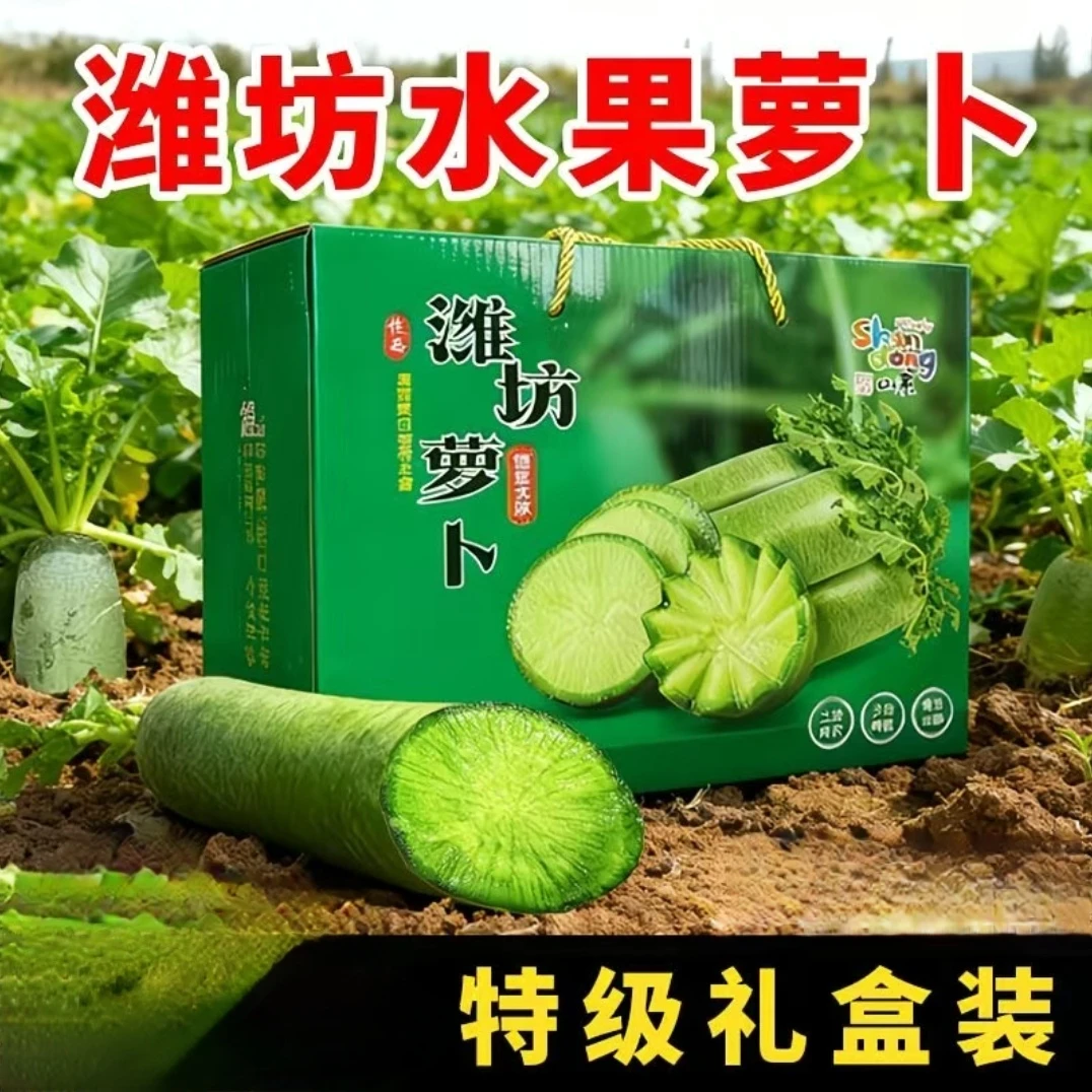 【特价礼盒福利14】头茬产地直采24小时到达萝卜礼盒8.6斤潍坊萝卜冰糖心水果萝卜脆甜不辣时令果蔬现拔现发
