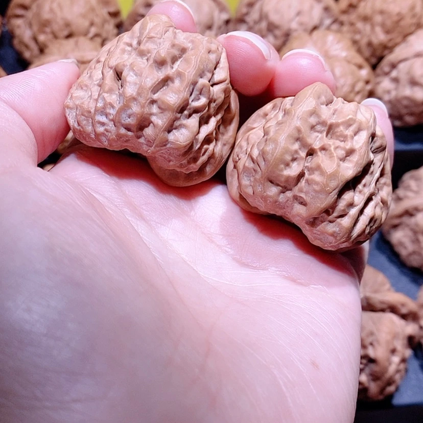 【闪购商品】核桃手串/手链边38蛤蟆头