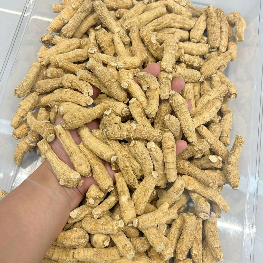 精选加拿大7g大西洋参煲汤煮水500g