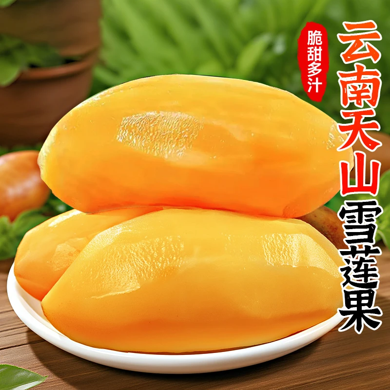 2025正宗云南天山雪莲果新鲜现挖当季黄心雪莲果清甜脆爽多汁包邮