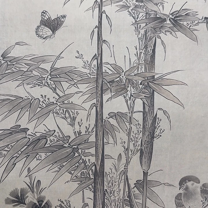 烽***3花鸟图，花鸟图挂画