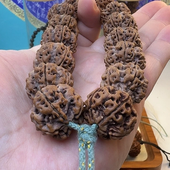 金刚菩提手串原生态大金刚双龙