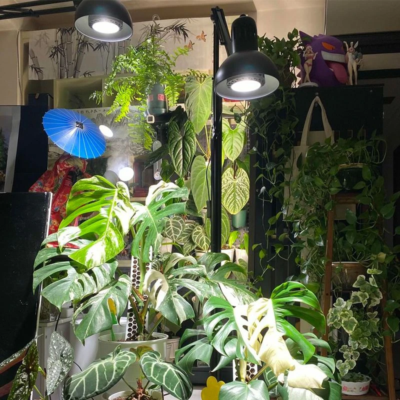 全光谱植物超亮折叠落地灯家用生长灯多肉专用灯光源补光灯立式