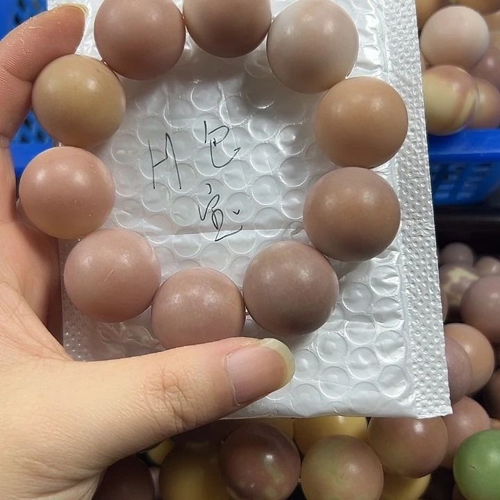 H****吊坠菩提根/象牙果