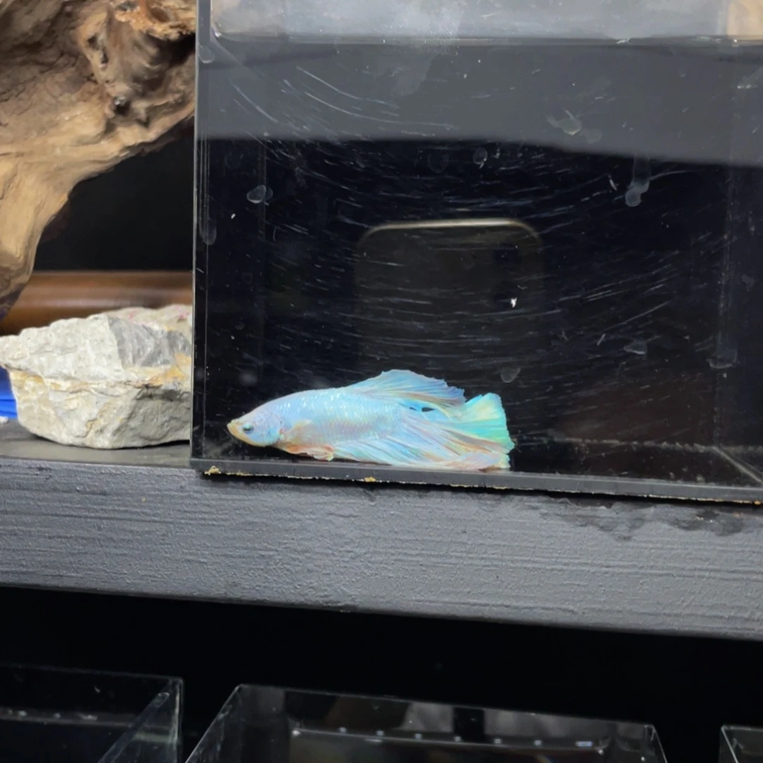 海水老**海哈哈哈哈哈哈哈哈