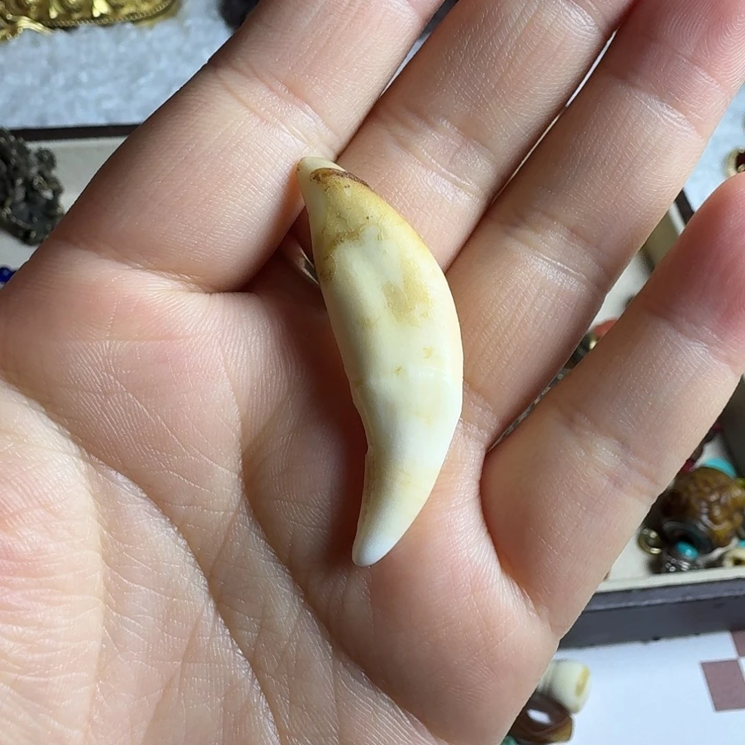 扎西德勒扎西德勒