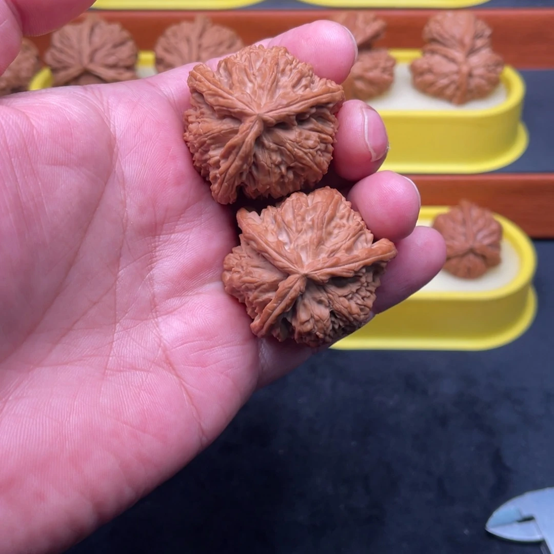 核桃手串/手链白狮子三棱40