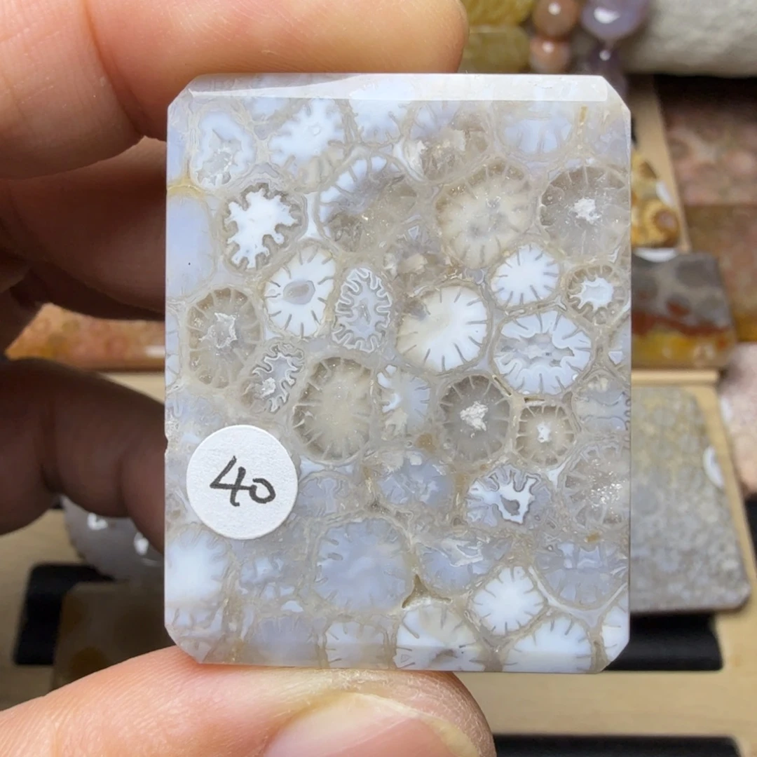 硅化玉未镶嵌纯天然色有机玉石保真色