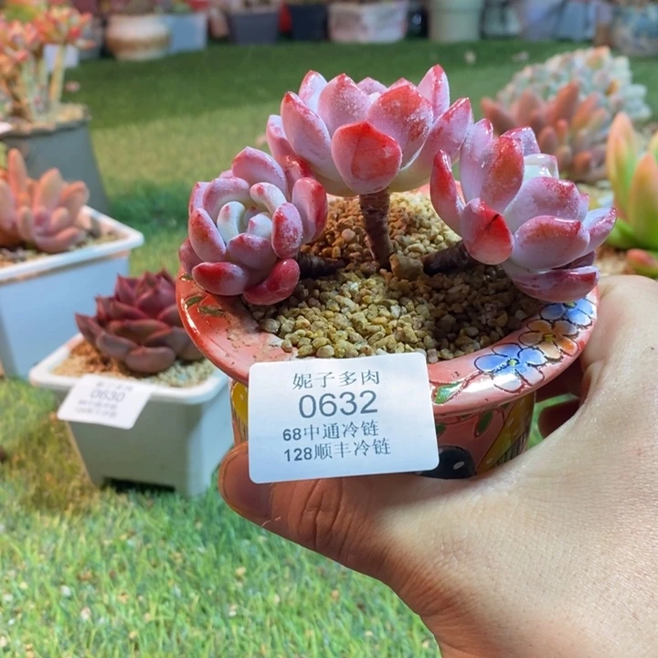 0632啊啊啊啊啊啊啊啊啊啊啊啊啊