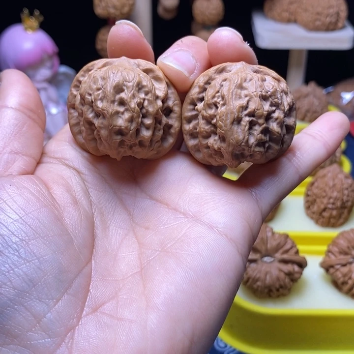 木质37野狼 狮子头21号