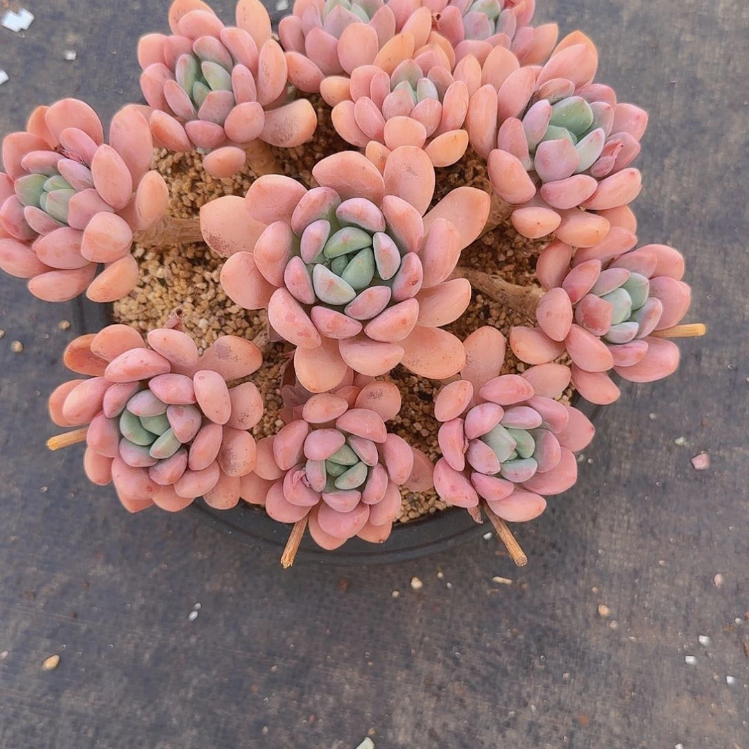 任****c哦哟哟无论我呀哦呀