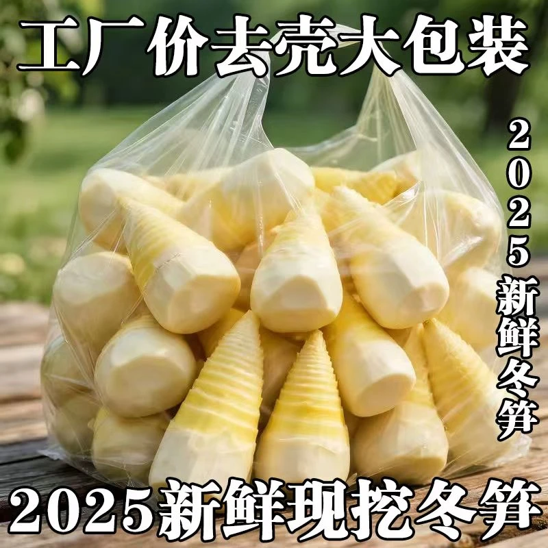 到手五斤大包装冬笋！水煮去壳冬笋，脆嫩笋尖煲汤炒菜火锅方便菜