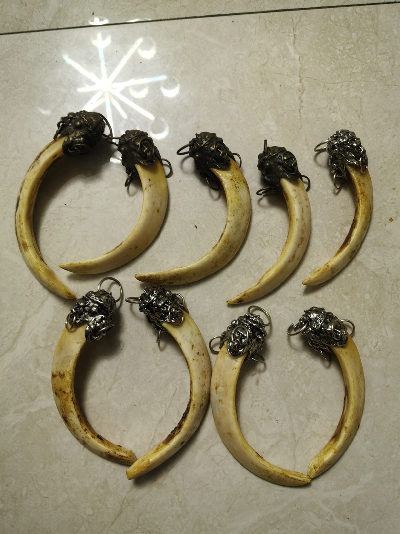 猪牙吊坠项链来自深山野岭的文玩