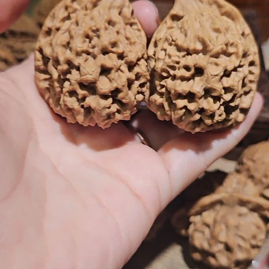 吊坠文玩核桃39半壁江山