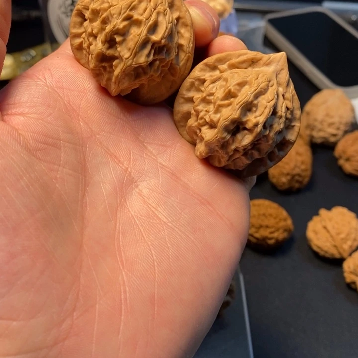 文玩核桃把件随*龙76号图图42尺