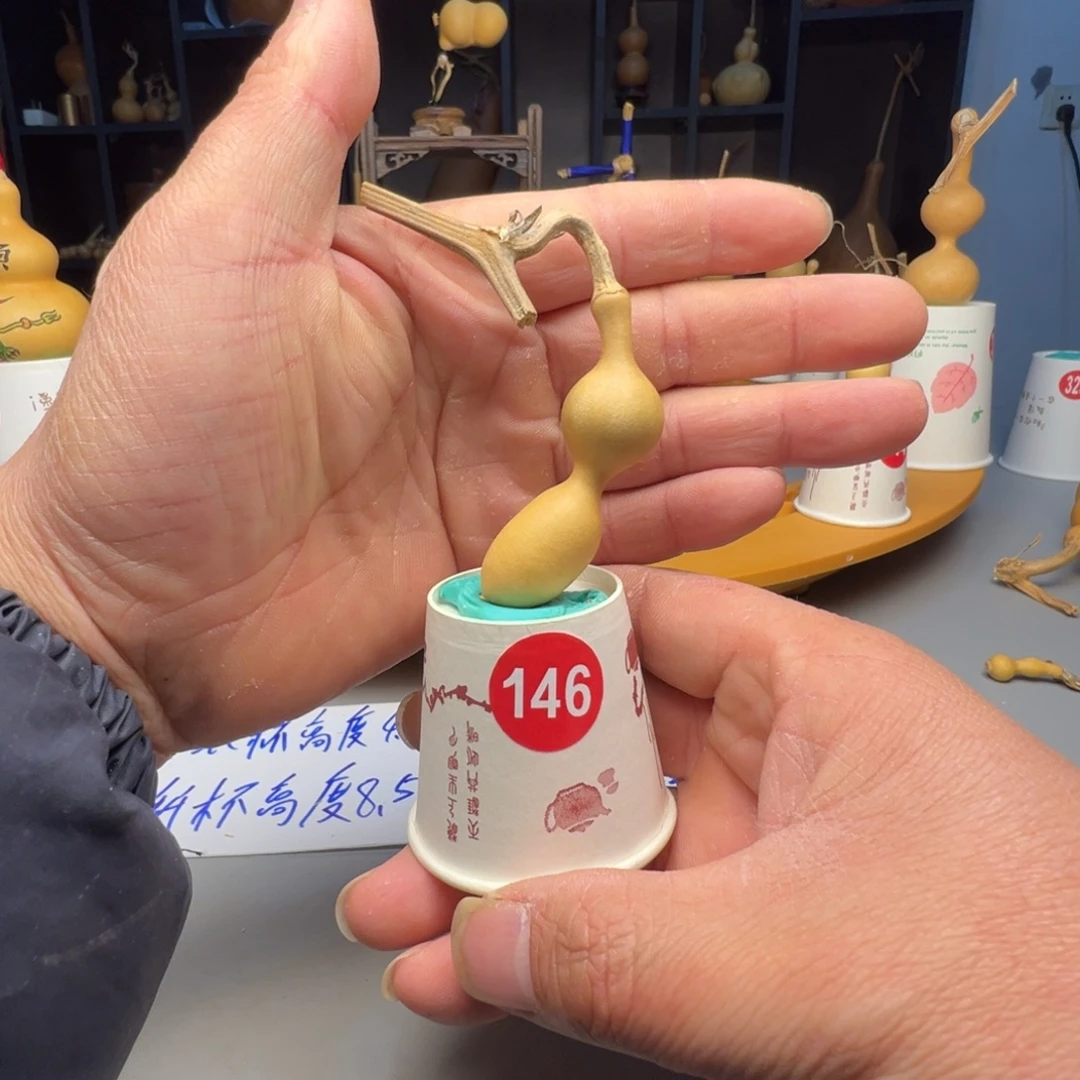 闪电购自助下单编号146