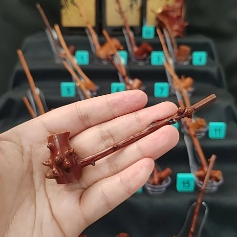 贵州檬子木烟斗一物一拍