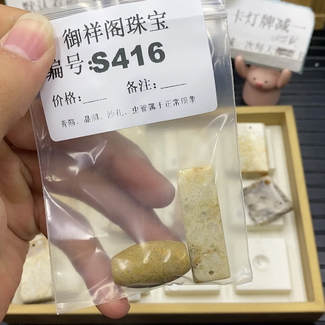 硅化珊瑚（珊瑚玉）未镶嵌颈饰月