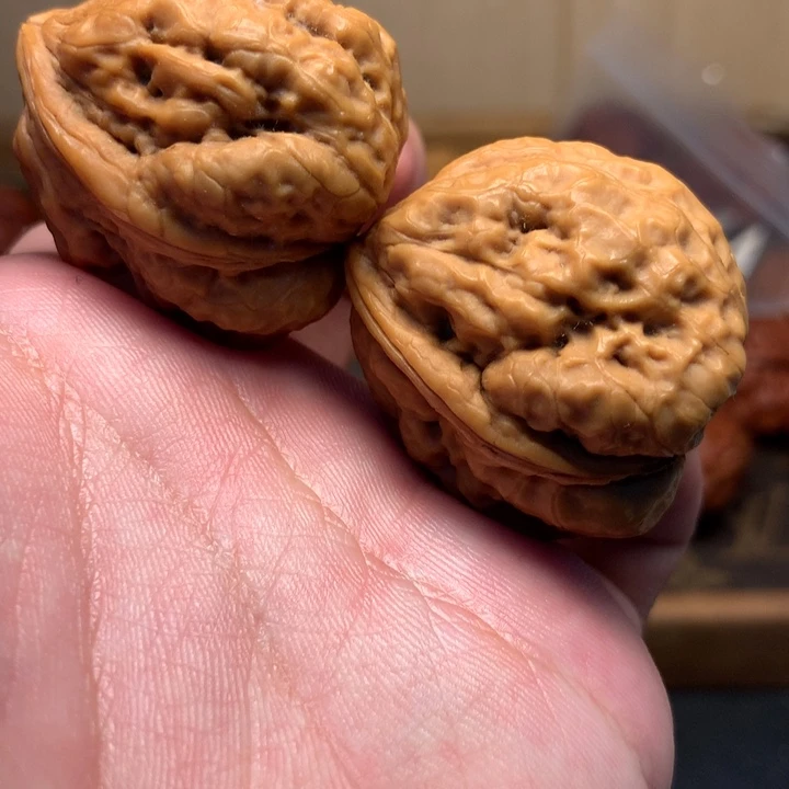 文玩核桃把件36箭毒蛙