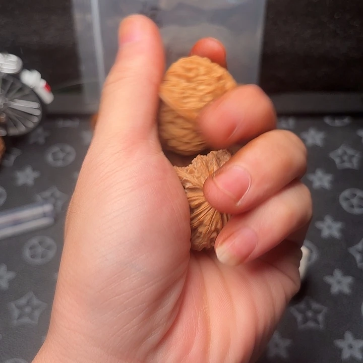 把件文玩核桃核桃等经济作物的栽培