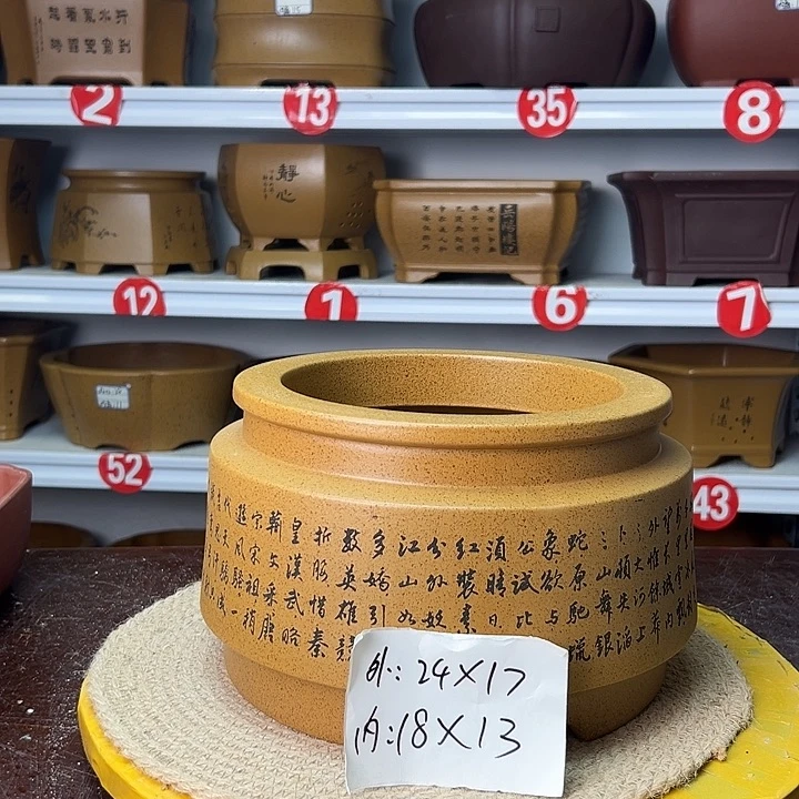 花盆紫砂你在一起