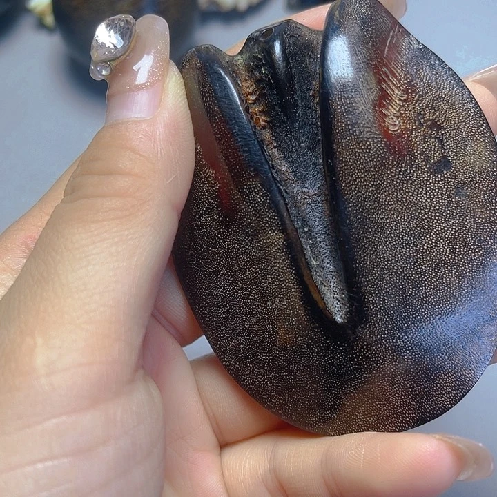 大果紫檀（缅甸花梨）