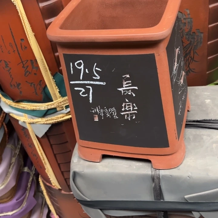 紫砂花盆紫砂之盆