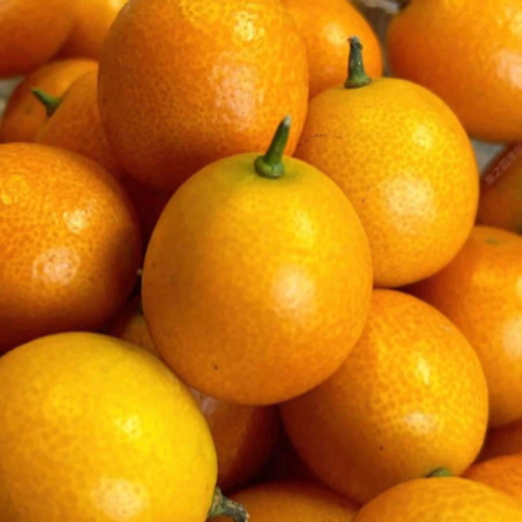 金桔切盒约300克/盒